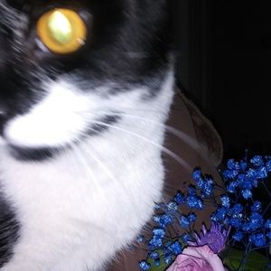 Meet your Posher, Valerie